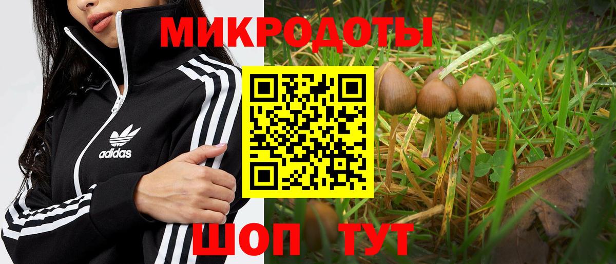 Галлюциногенные грибы MAGIC MUSHROOMS Ханты-Мансийск